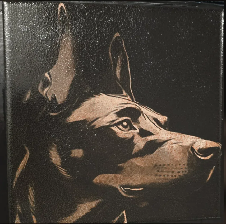 DithX Dav Cat 2 engraving